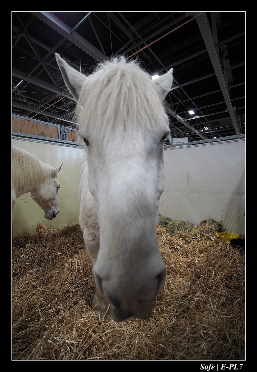 2020 - 02 - Salon agriculture 02